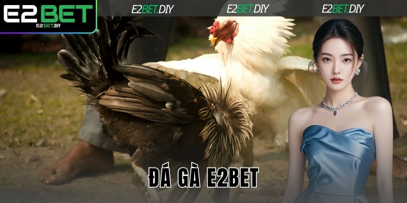Đá gà E2BET