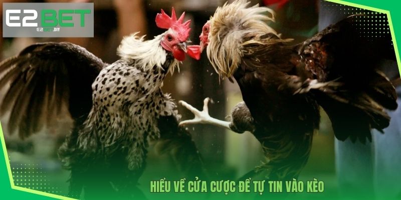 Hiểu về cửa cược để tự tin vào kèo 