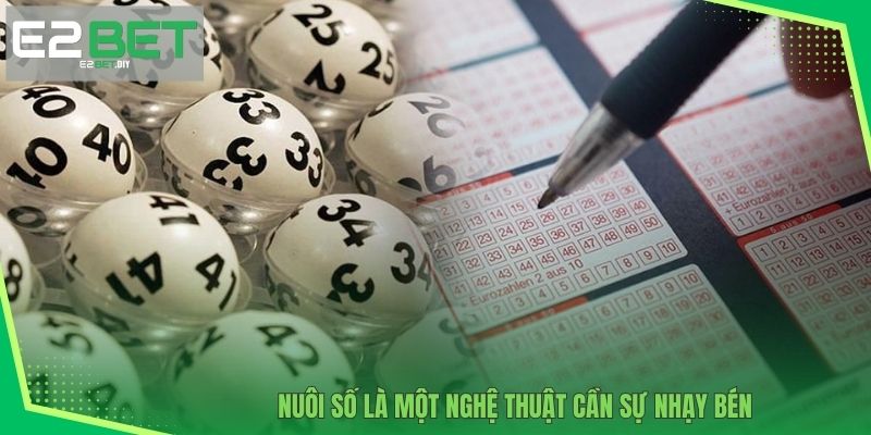 Nuôi số là một nghệ thuật cần sự nhạy bén 