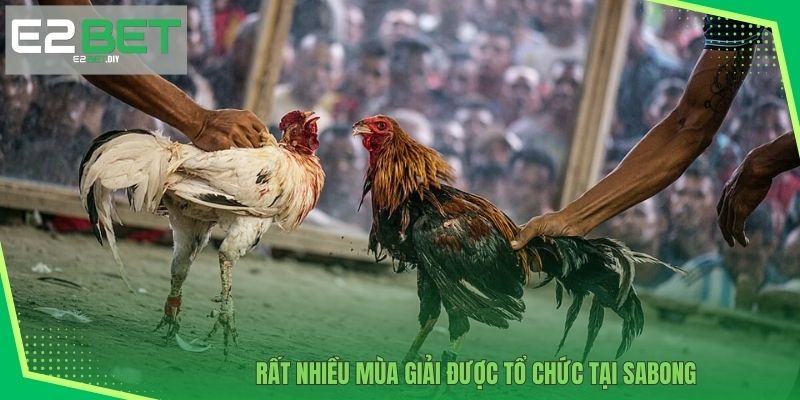 Rất nhiều mùa giải được tổ chức tại Sabong